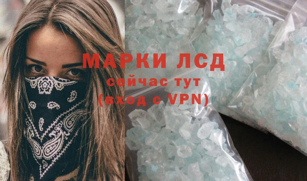 стафф Струнино