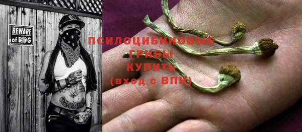 стафф Струнино