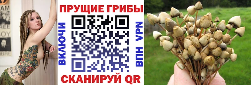 Купить закладки  Онега  Галлюциногенные грибы GOLDEN TEACHER 